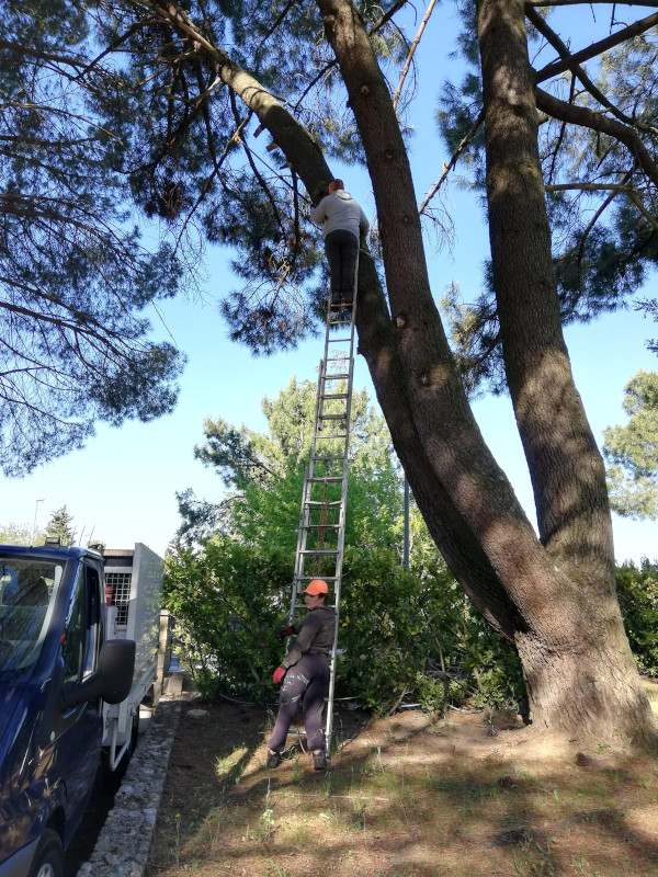 Photo d'entretien divers parcs et jardins