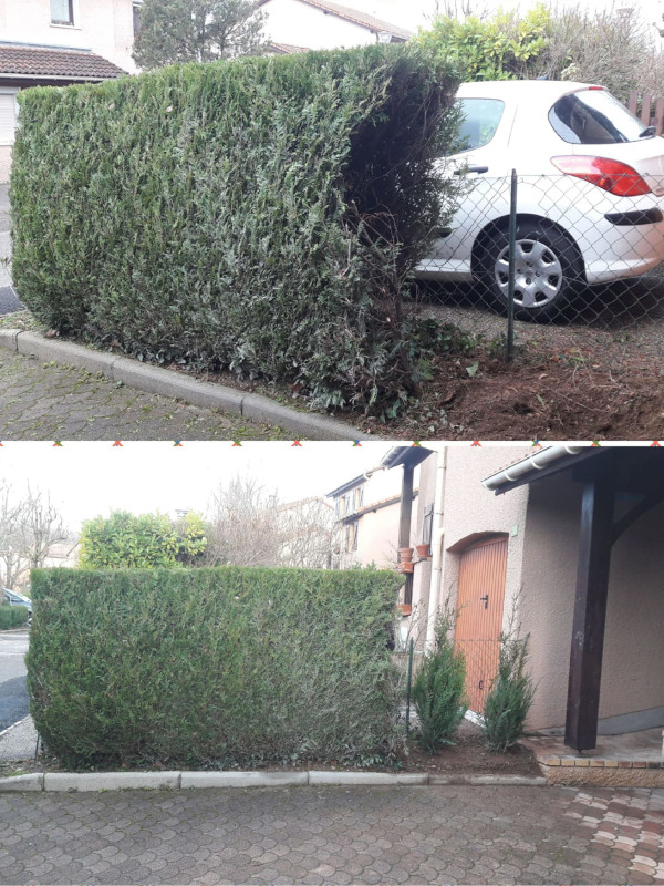 Photo d'entretien divers parcs et jardins