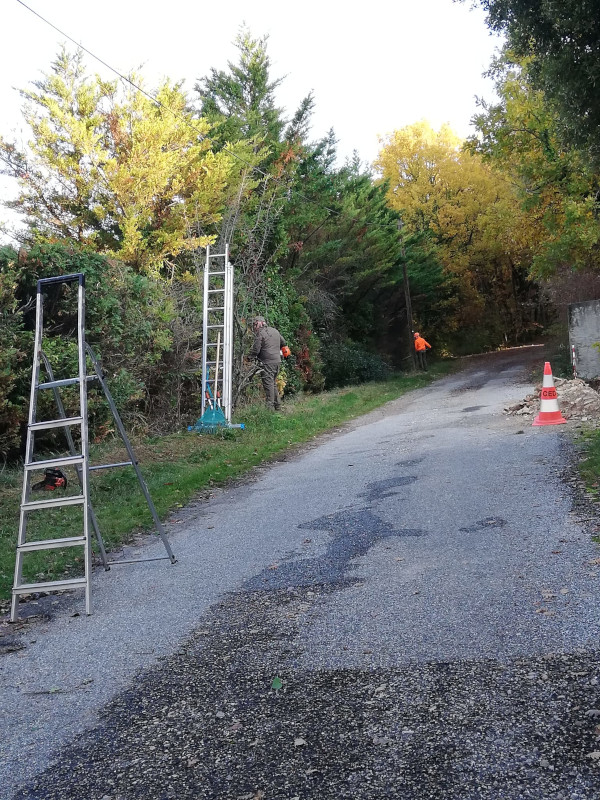 Photo d'entretien divers parcs et jardins