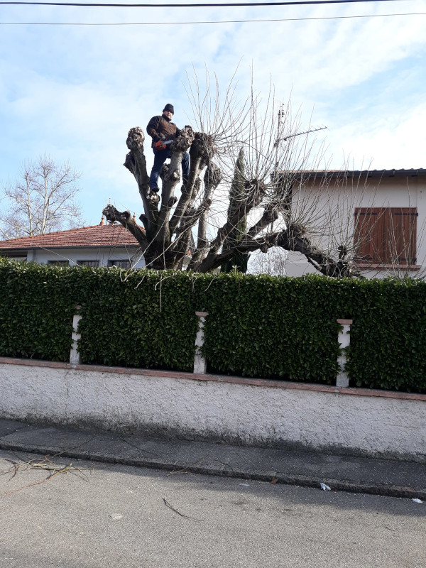 Photo d'entretien divers parcs et jardins